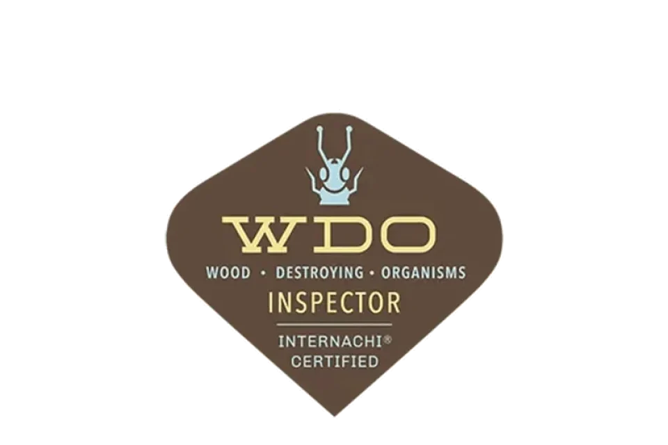 wdo-logo.png